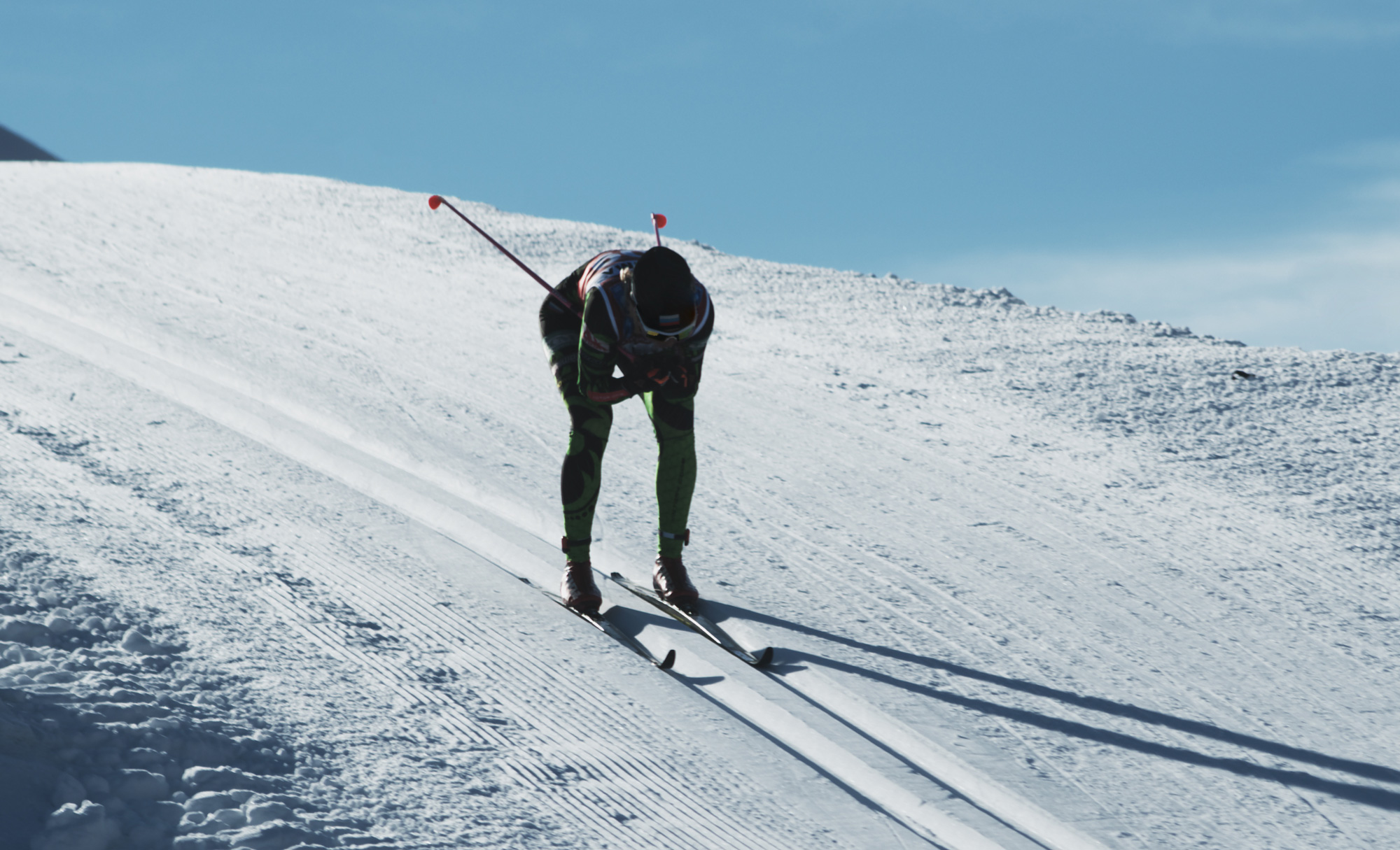 Cover Skier